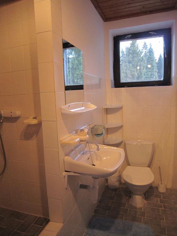 Dueto Hotel Harrachov Ruang foto